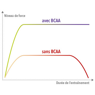 BCAA 4.1.1 - BCAA récupération en poudre, Complexe d’acides aminés