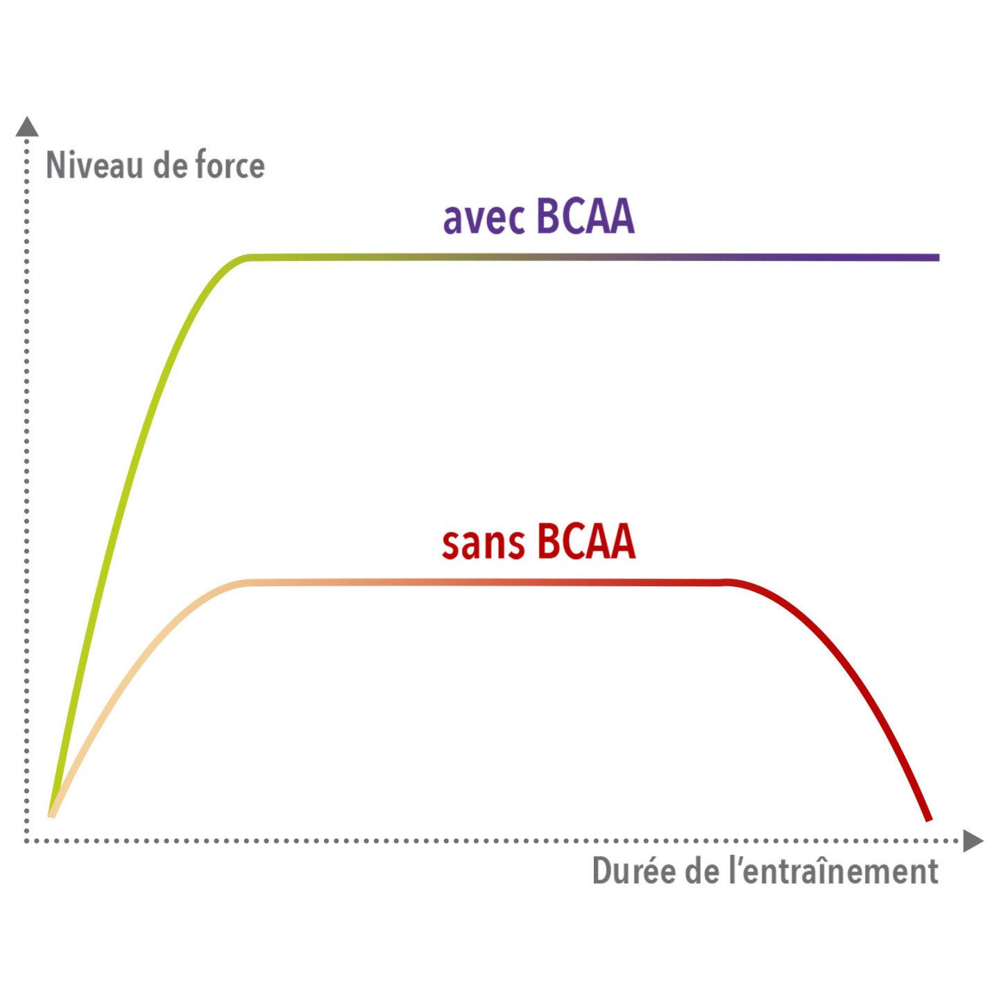 BCAA 4.1.1 - BCAA récupération en poudre, Complexe d’acides aminés