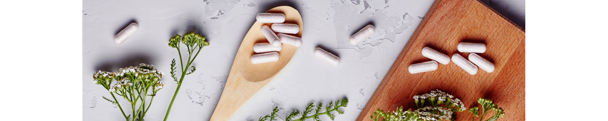 Healthy Nutrition - Compléments alimentaires healthy food