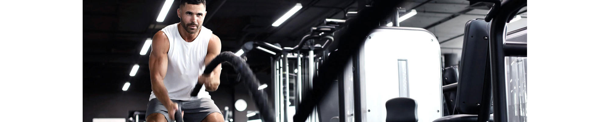 Protéine de séchage : Nutrition sèche