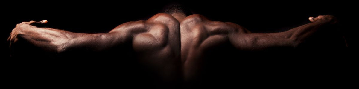Tout savoir sur le fonctionnement des muscles